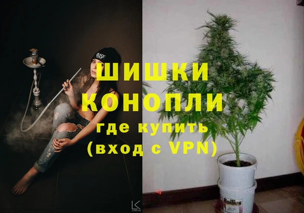 эйфоретик Карпинск